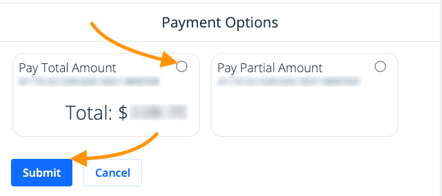 full or partial payment option